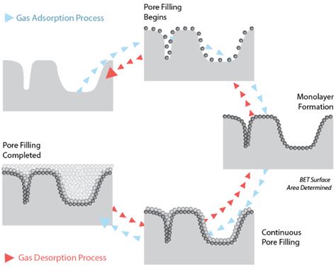 BET Analysis :Gas Adsorption of Porous .